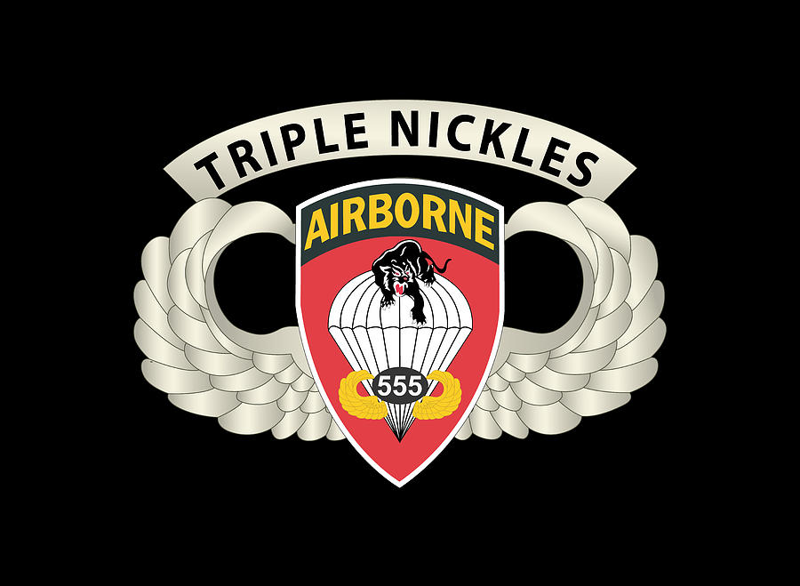 Army - Airborne Badge - 555th Parachute Infantry Bn - SSI w Triple ...