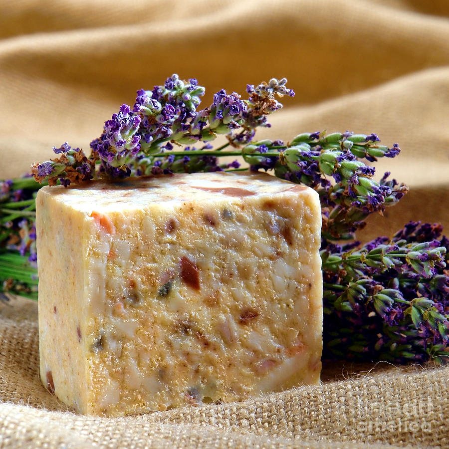 Artisan Natural Scented Soap and Lavender Photograph by Olivier Le Queinec