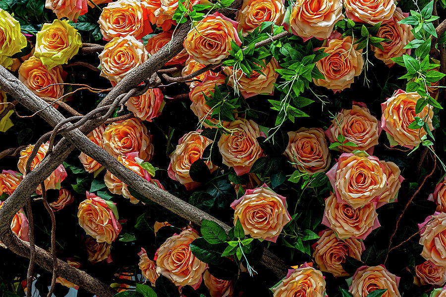 Artificial Flowers Photograph