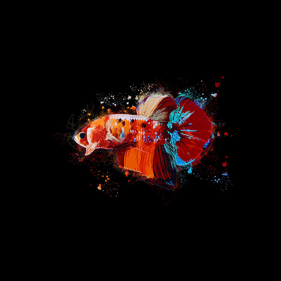 Artistic Nemo Multicolor Betta Fish #1 Digital Art by Sambel Pedes
