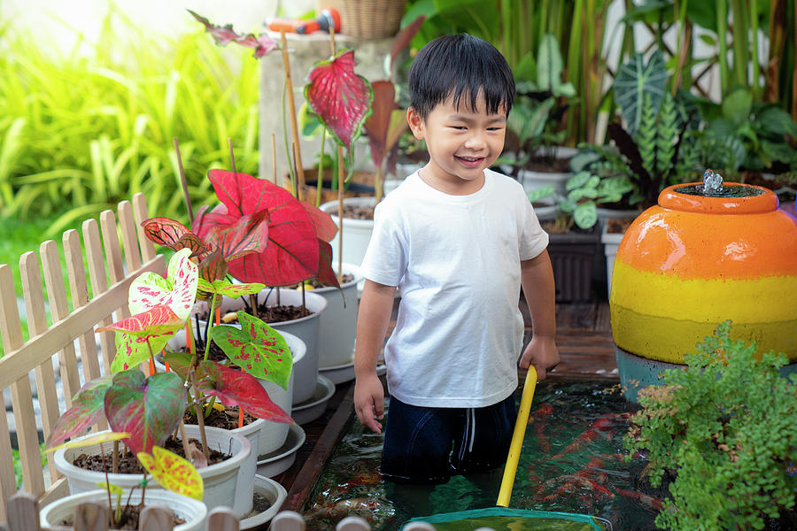 Asian boy play in koi pond Photograph by Anek Suwannaphoom