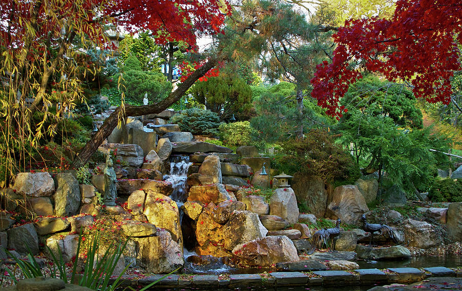 Asian Garden #1 Photograph by Valerie Brown