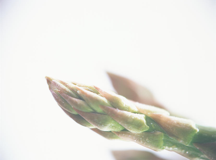 Asparagus, close-up #1 Photograph by Mixa