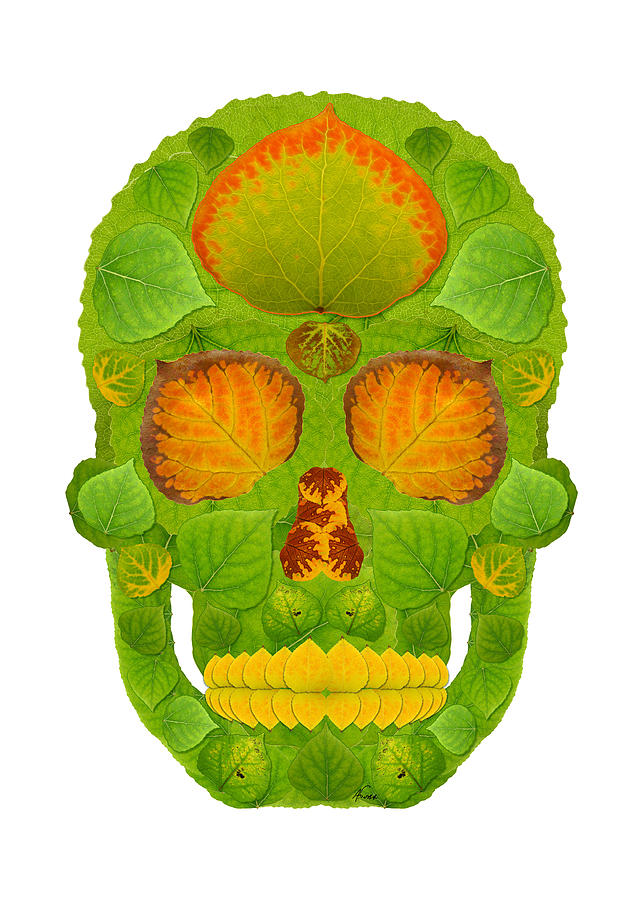 Aspen Leaf Skull 10 #1 Digital Art by Agustin Goba