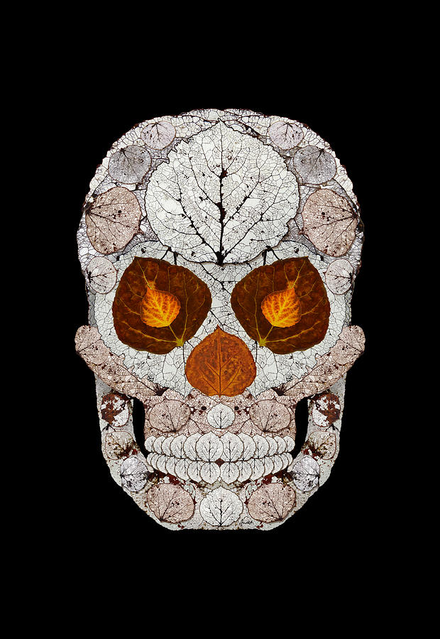 Aspen Leaf Skull 11 #1 Digital Art by Agustin Goba