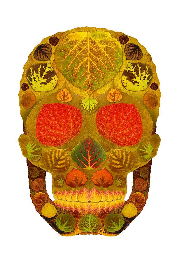 Aspen Leaf Skull 12 #1 Digital Art by Agustin Goba