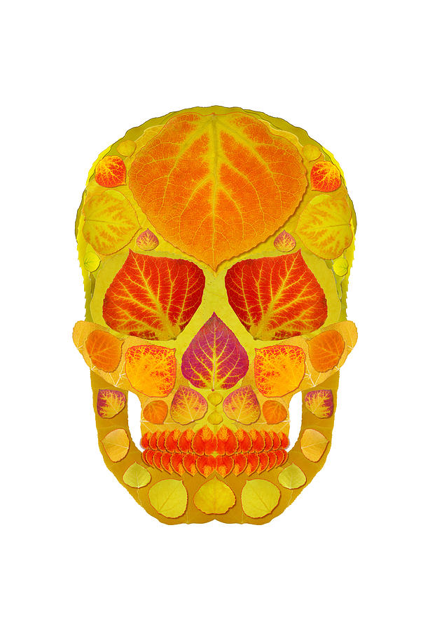 Aspen Leaf Skull 13 #1 Digital Art by Agustin Goba