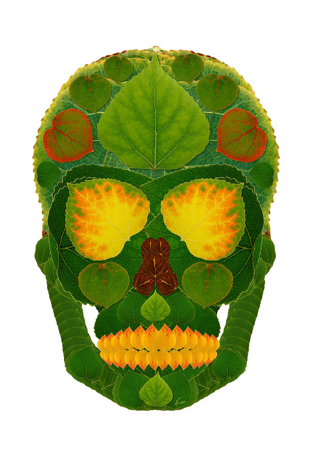 Aspen Leaf Skull 9 Digital Art