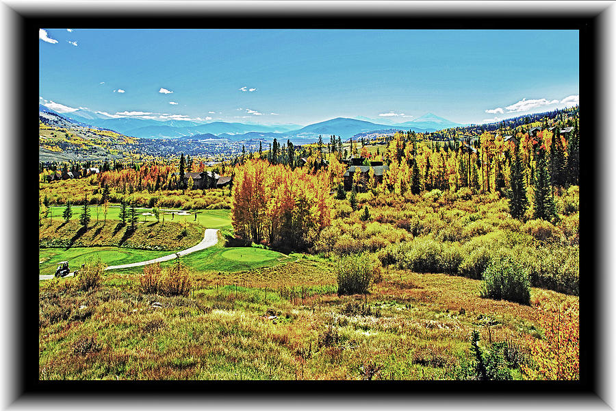Aspens on the Green #1 Photograph by Richard Risely