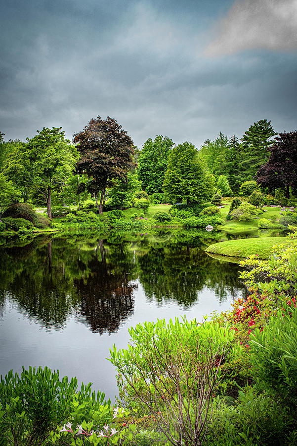 Asticou Garden-reflecting Pond Photograph by Judy Wolinsky - Fine Art ...