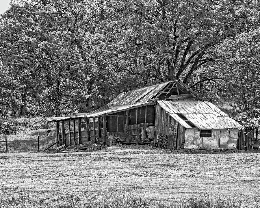 Auburn Barn #1 Photograph by William Havle