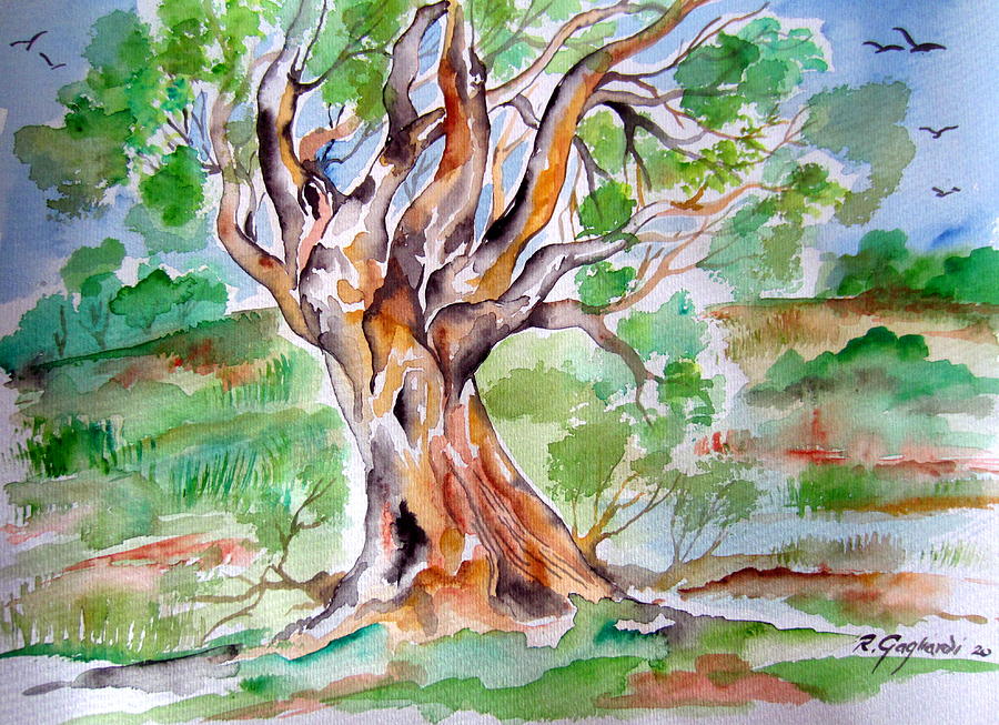 Australian Tree #1 Painting by Roberto Gagliardi
