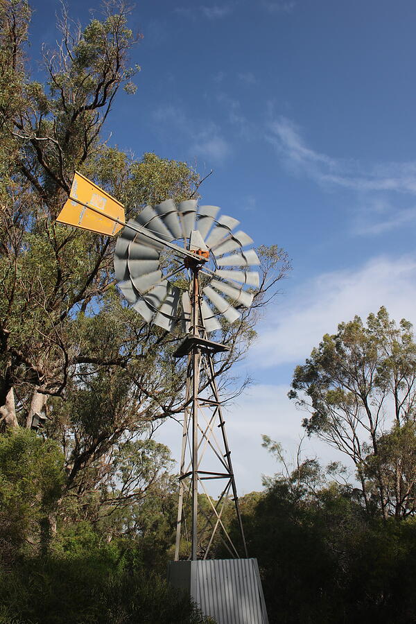Australian Windmill Photograph