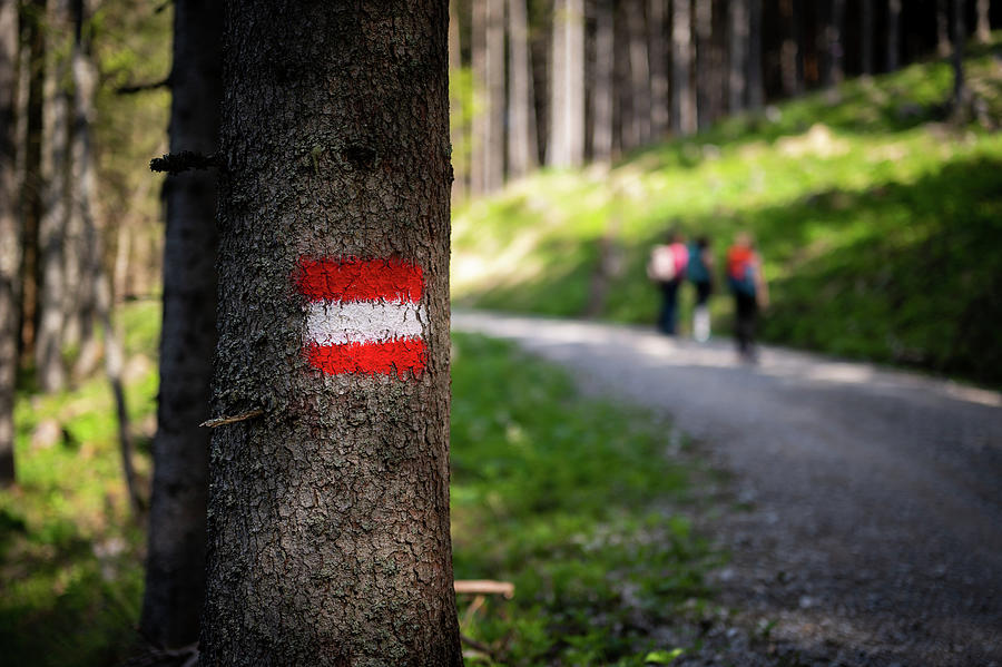 Austrian Hiking Blaze Or Trail Marker, Austria, Europe Photograph