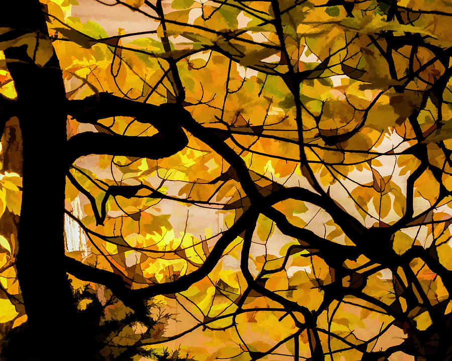 Autumn Abstract #1 Photograph by Cathy Kovarik