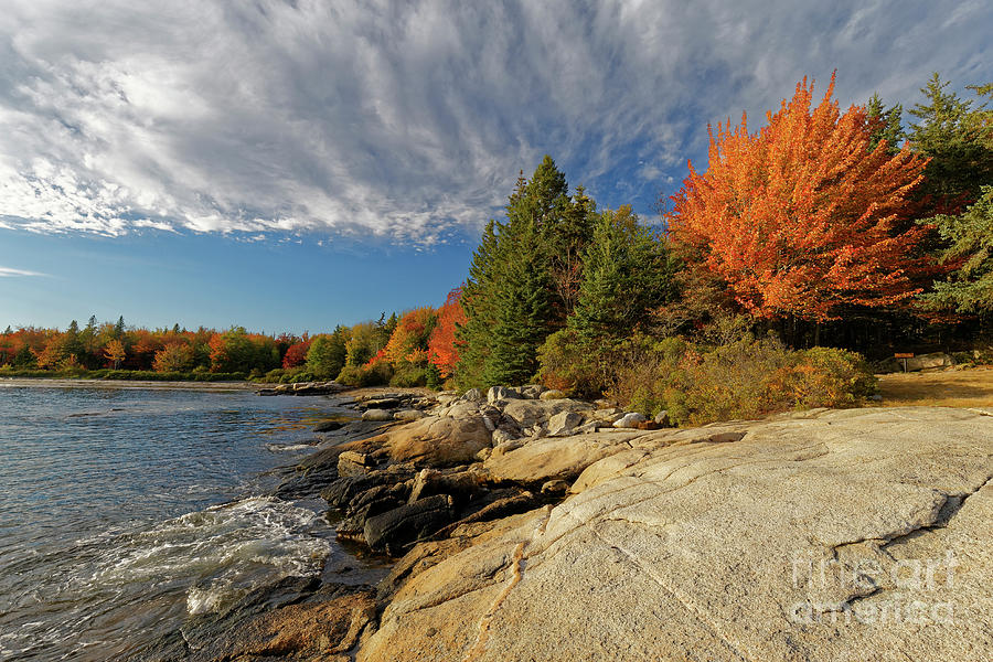Autumn at Birch Point Photograph by Kevin Shields