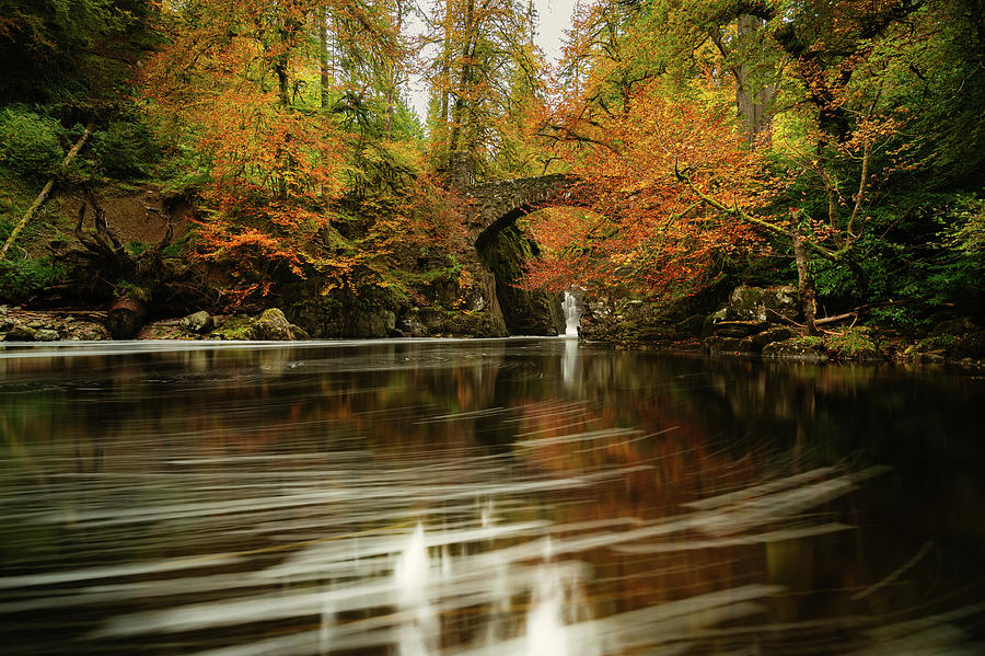 Nature Photograph - Autumn at The Hermitage, Scotland #1 by Silviu Dascalu