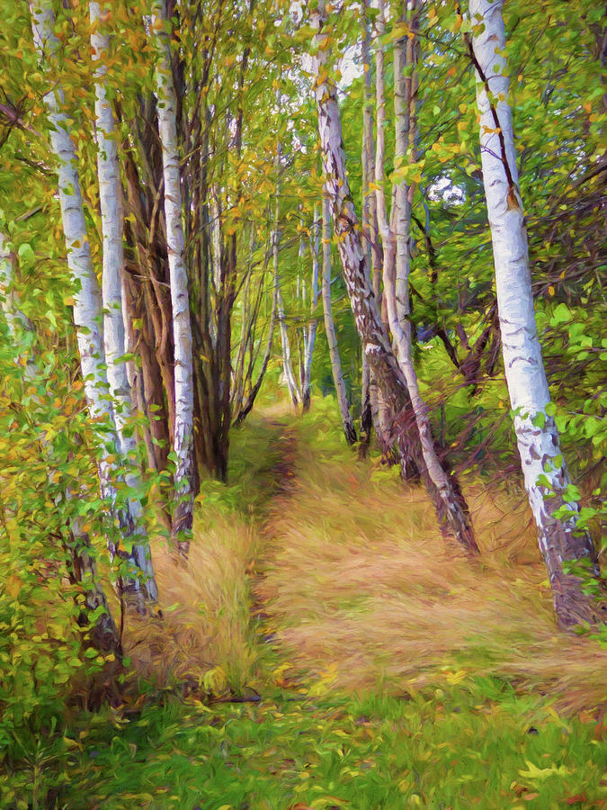 Autumn Birches #1 Painting by Lutz Baar