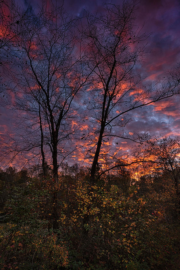 Autumn Blaze 1 Photograph by Robert Fawcett
