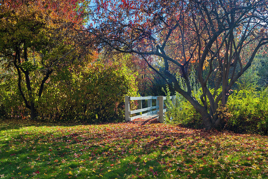 Autumn Bridge #1 Photograph by Mark Mille