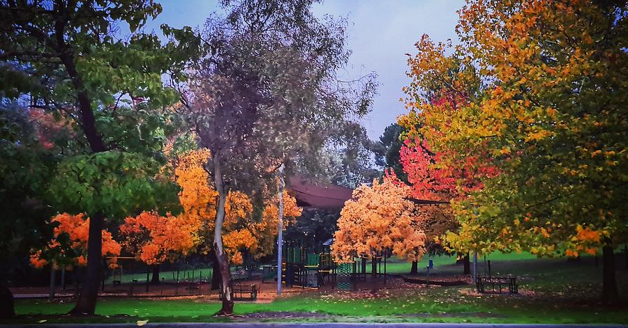Autumn colour #1 Photograph by Glen Johnson