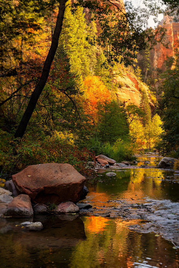 Fall Photograph - Autumn Creekside  #1 by Saija Lehtonen