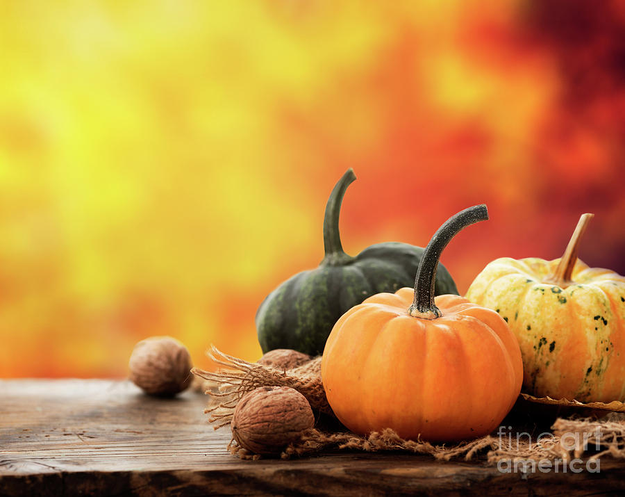 Autumn crops #1 Photograph by Jelena Jovanovic