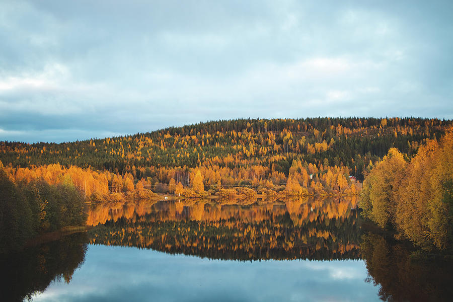 Autumn fairy tale in Kainuu, Finland #1 Photograph by Vaclav Sonnek