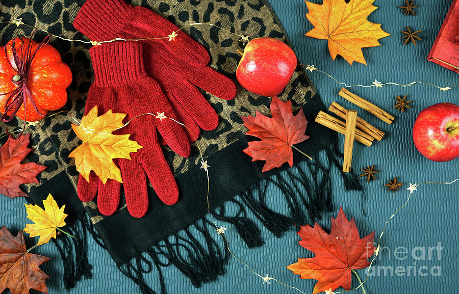 Autumn Fall bright colours theme flatlay overhead. #1 Photograph by Milleflore Images