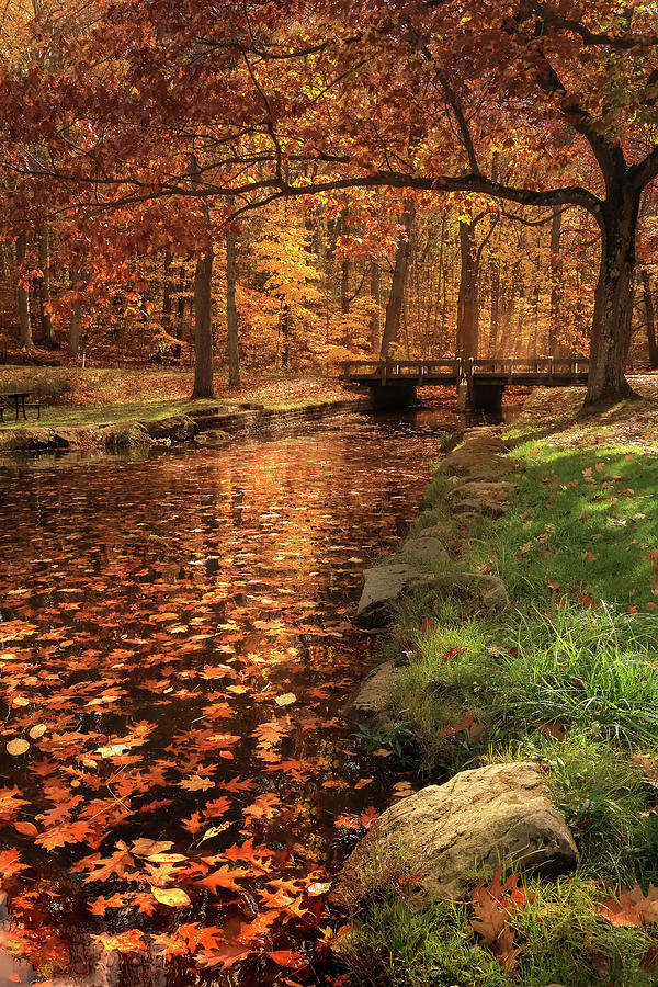 Autumn Flow #2 Photograph by Rob Blair