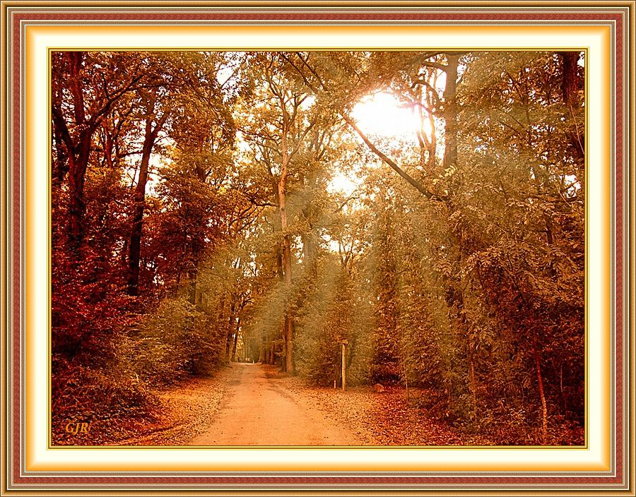 Autumn Forest Path - Winterton Park  L A S With Printed Frame. Digital Art