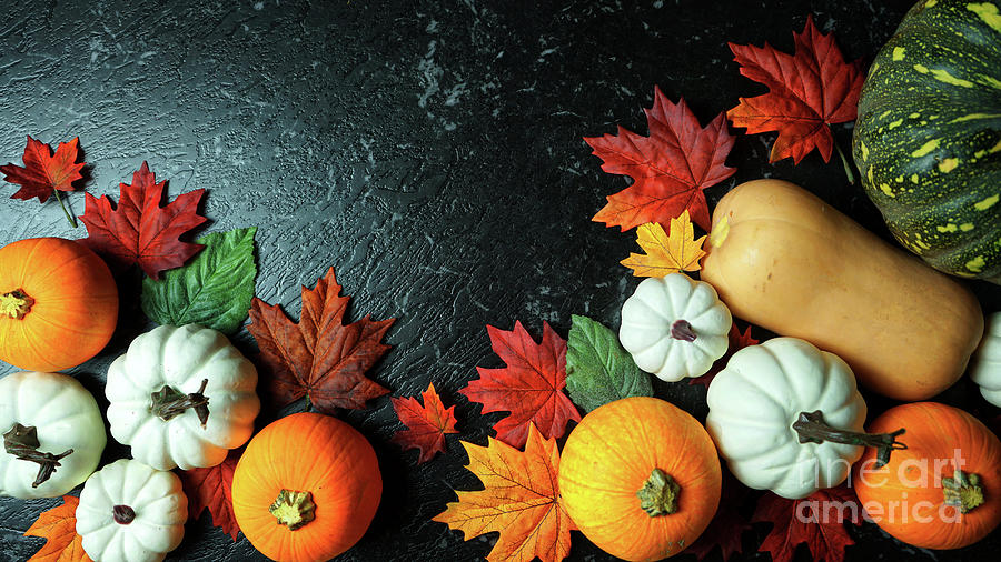 Pumpkin Photograph - Autumn harvest, diverse assortment of pumpkins on a black marble table counter. #1 by Milleflore Images