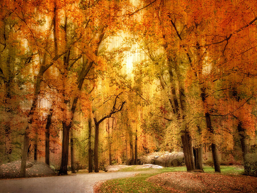Autumn Impressions Photograph by Jessica Jenney