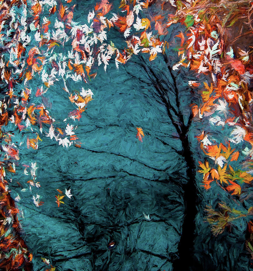 Autumn in a Blue Pool  #2 Photograph by Wayne King