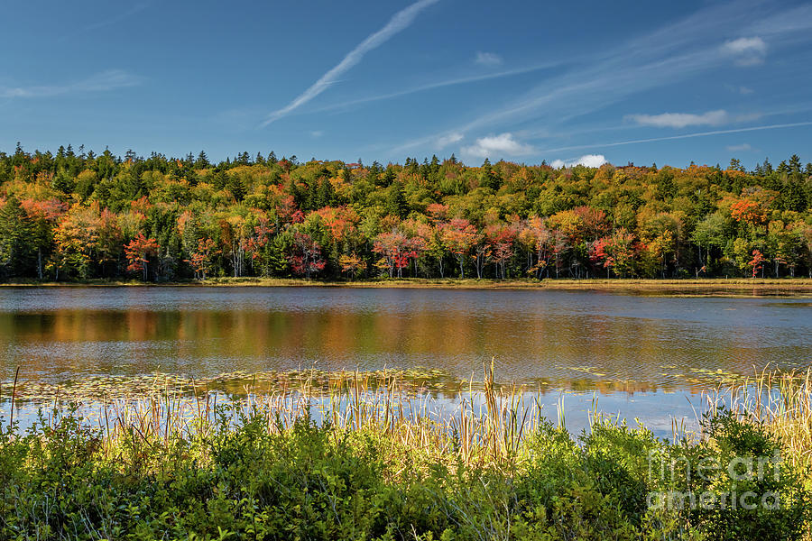 Autumn In Acadia Photograph