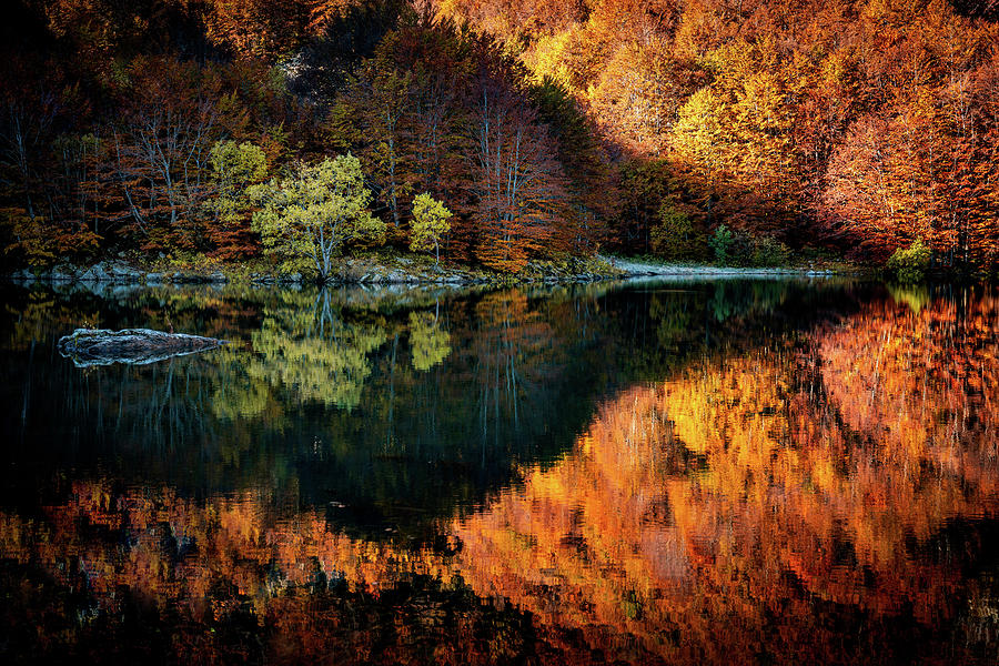Autumn in Italy #1 Photograph by Francesco Riccardo Iacomino