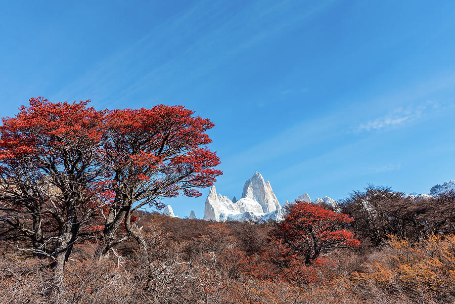 Autumn In Patagonia Photograph