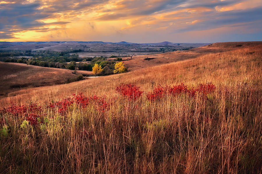 Autumn In The Tallgrass #1 Photograph by Brad Mangas