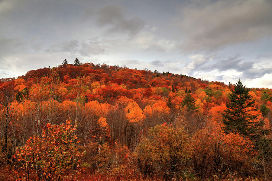 Autumn In the White Mountains #2 Photograph by Robert Harris