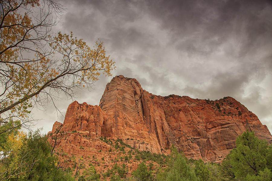 October in Zion Photograph by Kunal Mehra