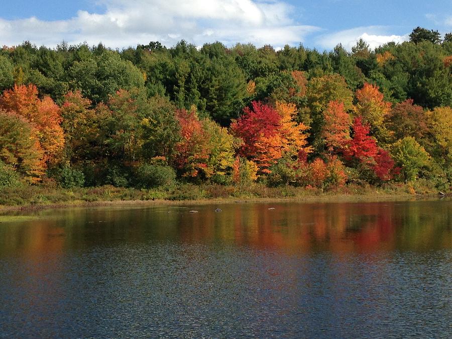 Autumn Lake #1 Photograph by Jessica Mumford - Fine Art America