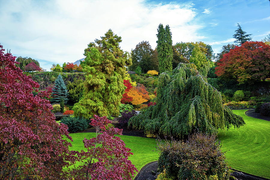 Autumn landscape at Queen Elizabeth Park  #1 Photograph by Alex Lyubar
