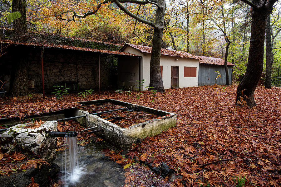 Autumn Landscape #1 Photograph by Michalakis Ppalis