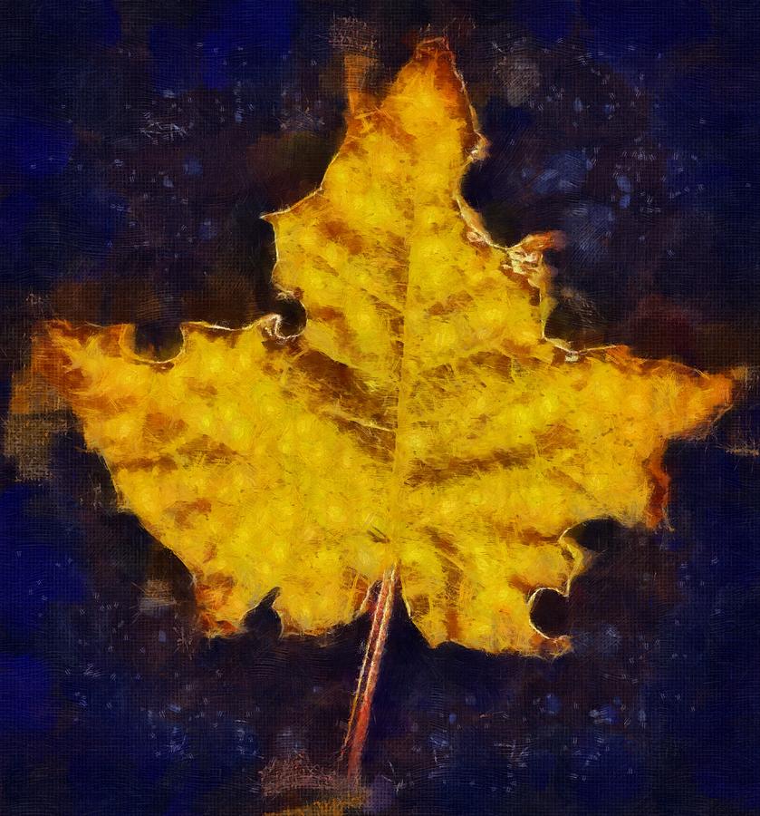 Autumn Leaf Mixed Media by Christopher Reed