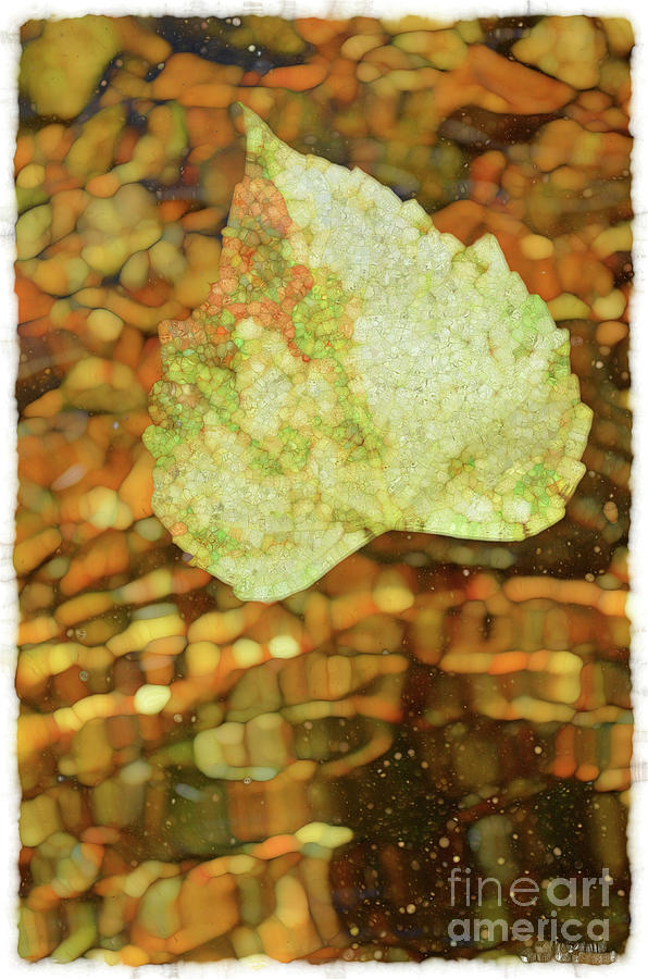 Autumn Leaves at the Creek  #1 Mixed Media by Debbie Portwood