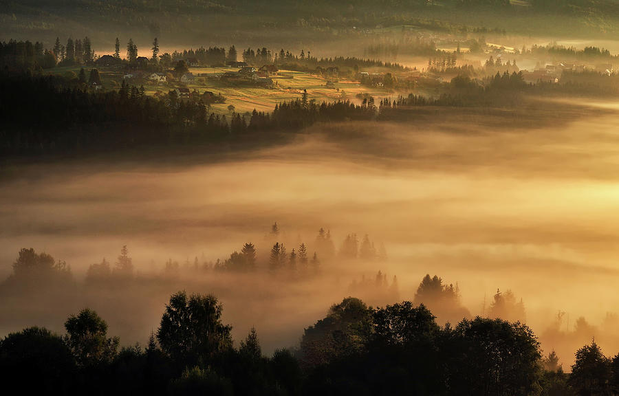 Autumn Misty Landscape Photograph