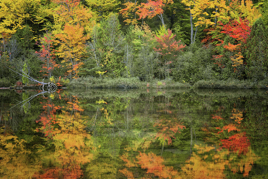 Autumn morning reflection of the Cox Ponds in Michigan's Upper ...