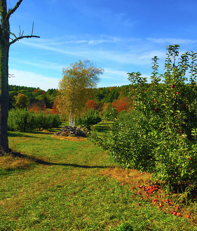 Autumn New England Photograph by Geoff Jewett
