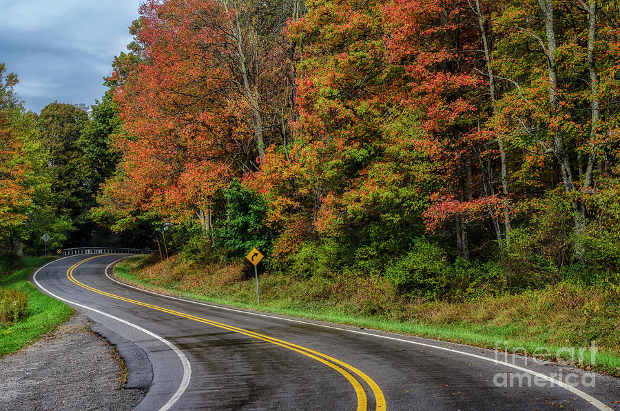Autumn On Birch River Road Photograph