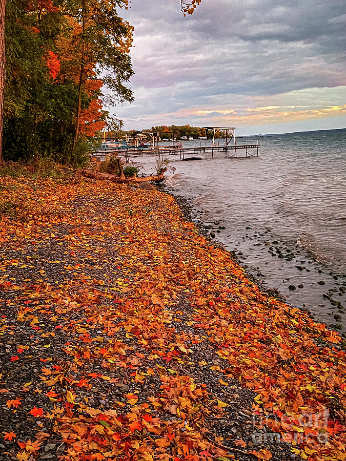 Autumn on Seneca Lake #1 Photograph by William Norton Autumn on Seneca Lake #1 Photograph by William Norton